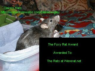 Clair's Foxy Rat Award (October 2003)
