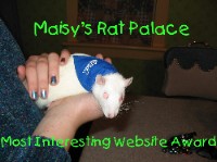 Maisy's Rat Palace Most Interesting Website Award (March 2004)