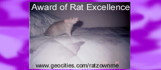 Award of Rat Excellence (November 2002)