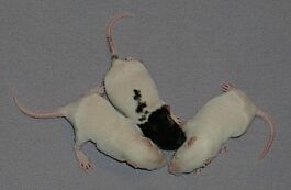 Day 11, getting better coordinated