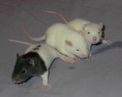 Day 16, all eyes open and on the camera