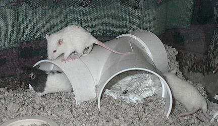 Day 19, wide eyes, good balance