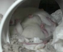 Day 20, lunch with Pearl