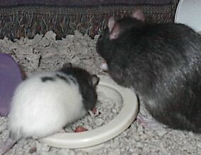 Day 21, hanging out with Aunt Myst