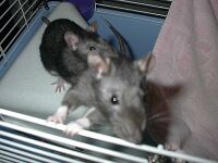We're so cute and tiny!